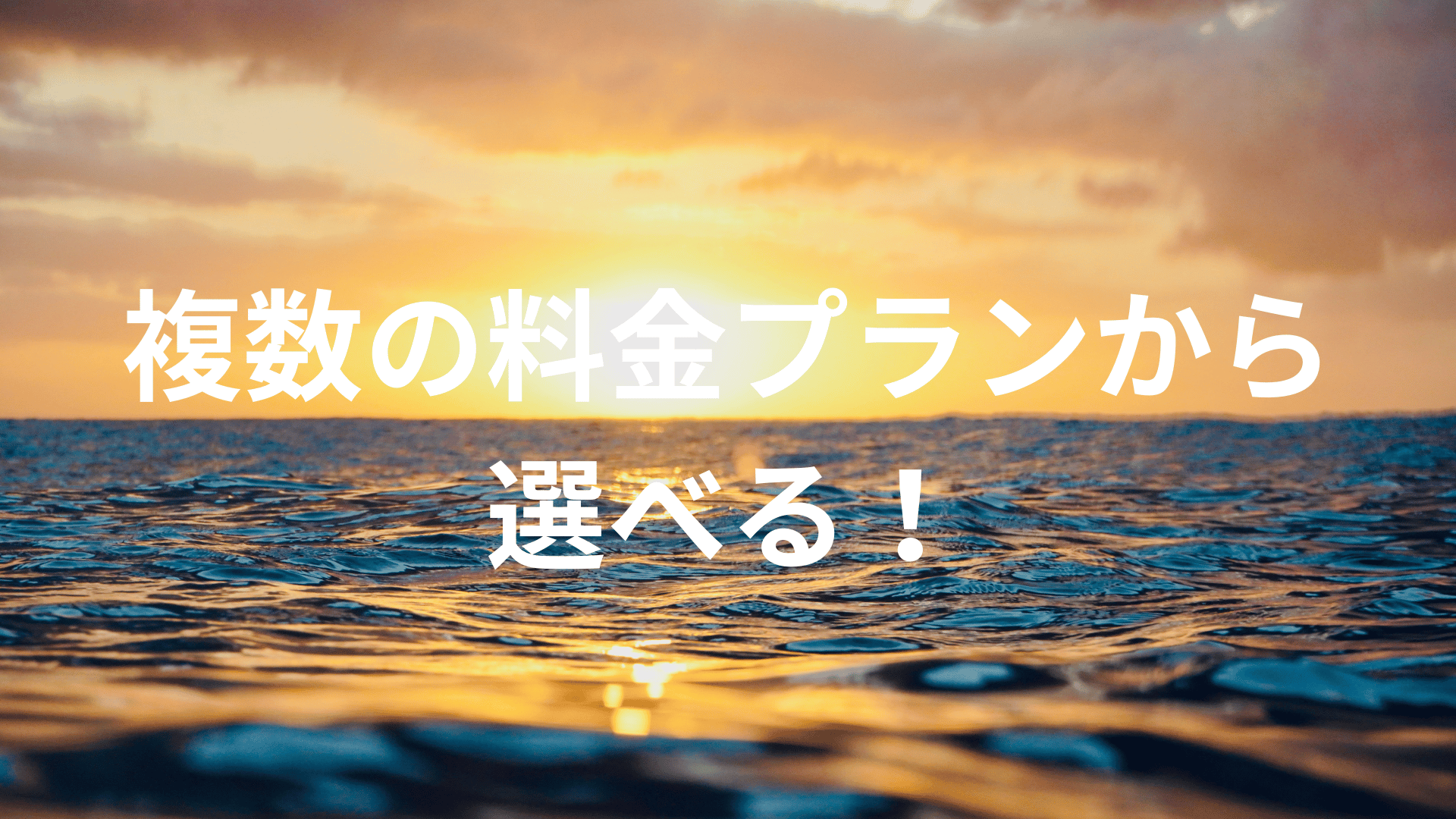 複数の料金プランから選べる