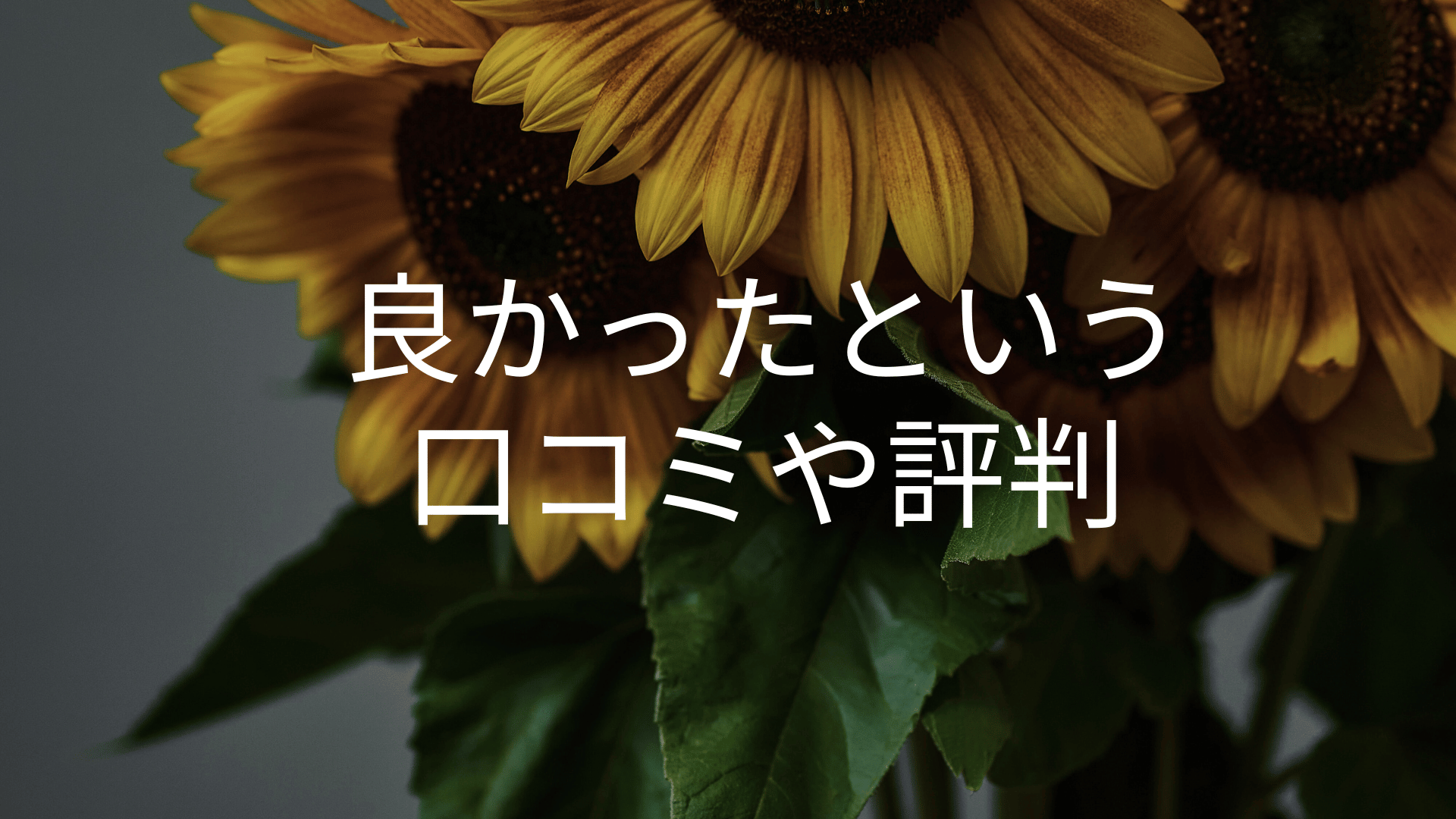 良かったという口コミや評判