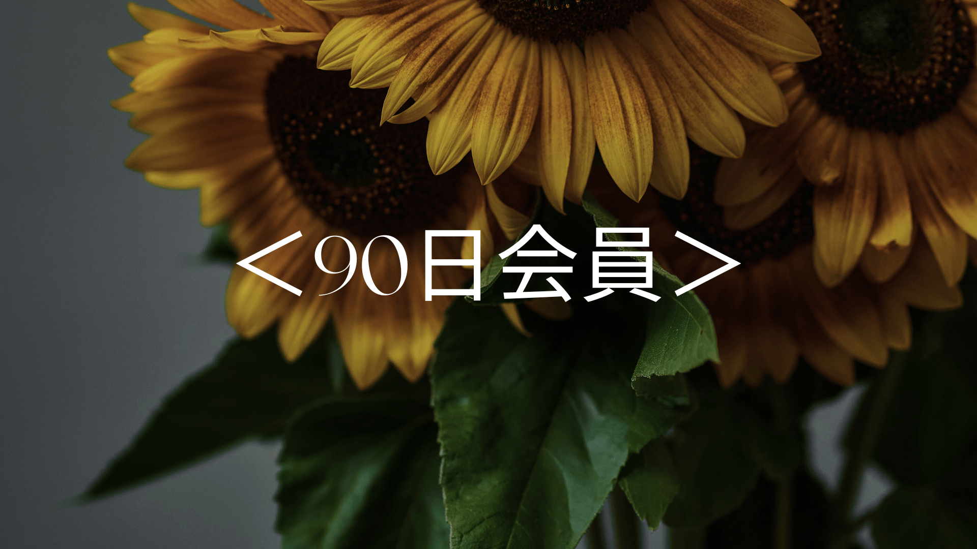 ＜90日会員＞